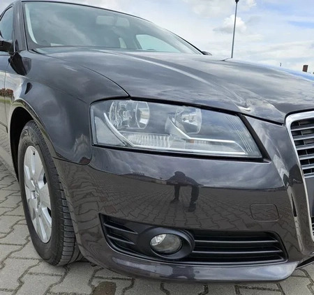 Audi A3 cena 28900 przebieg: 192000, rok produkcji 2010 z Chęciny małe 497